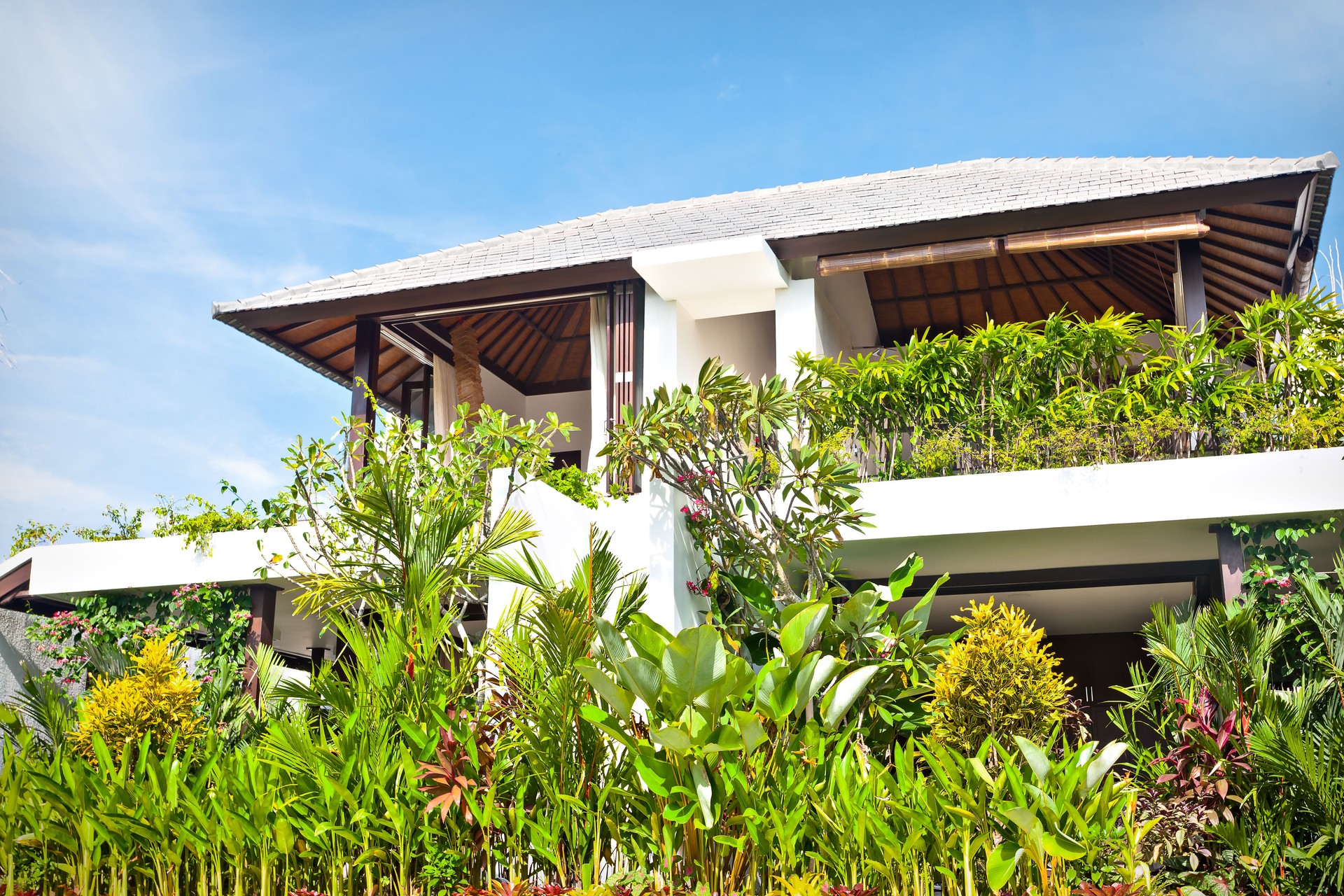 Green ornamental plants garden with a modern hotel